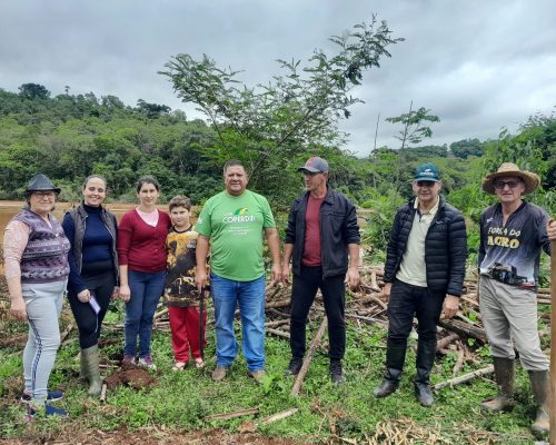 Imagem do WhatsApp de 2025-11-27 à(s) 08.49.07_72860135