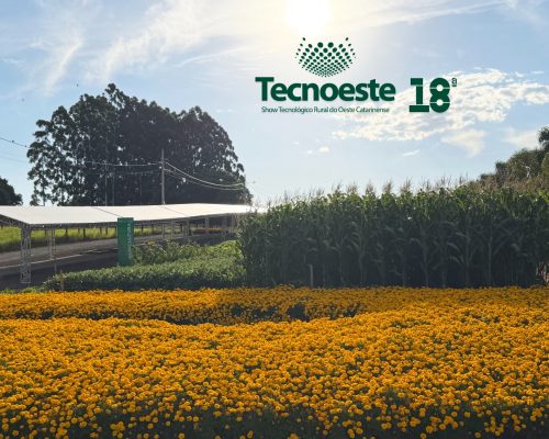 WhatsApp Image 2026-01-30 at 09.14.45