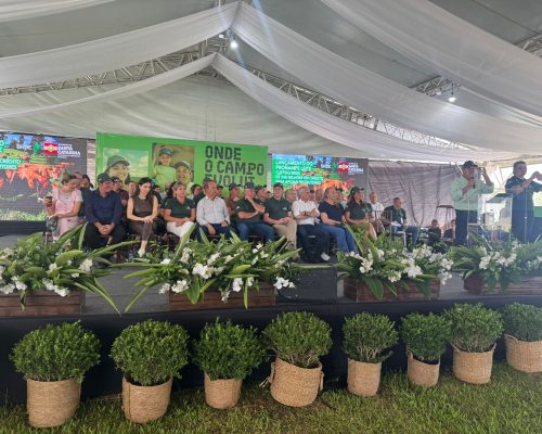 WhatsApp Image 2026-02-10 at 14.35.17