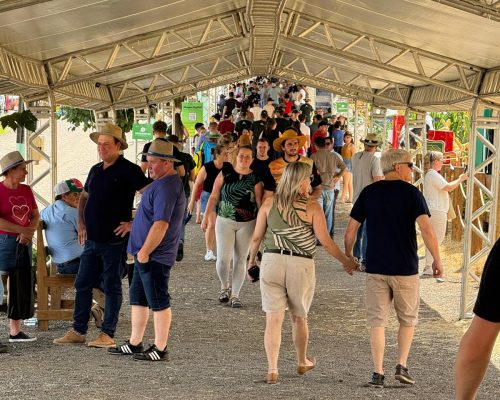 WhatsApp Image 2026-02-13 at 13.18.05